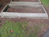 image of grave number 831152